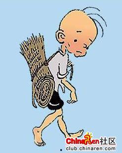 三毛的漫画图片,描绘人生百态，展现独特魅力